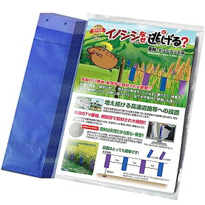 CmVVȂj[ _ƁEƖp10Zbgi̂݁j CmVV CmVV΍ 