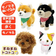 オスト まねまねトコトコ | 豆シバ | 黒豆シバ | トイプードル | ミケネコ | 歩く ぬいぐるみ 可愛い 玩…