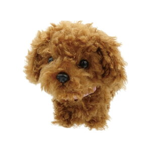 IXg ܂˂܂˃gRgR | Vo | Vo | gCv[h | ~PlR |  ʂ  ߋ    m}l ^ ܂˂  L ybg ׂ {bg  q