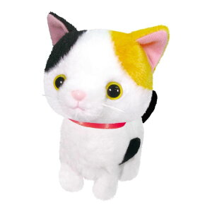 IXg ܂˂܂˃gRgR | Vo | Vo | gCv[h | ~PlR |  ʂ  ߋ    m}l ^ ܂˂  L ybg ׂ {bg  q