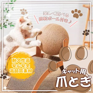 y[z ]lRpߌ u邽܃Xe[Vv L ܌ ܂Ƃ {[ ] ߋ oo i{[ XgXU  Iׂ2TCY