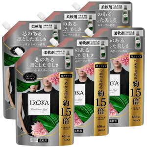 IROKA nT[t̍ _ lߑւ 650ml e