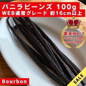 【バニラビーンズ専門店】バニラビーンズ 100g Aグレード ブルボン種 インドネシア産 WEB通常グレード バニラ 業務用 クリスマス LIT VANILLA リットバニラ