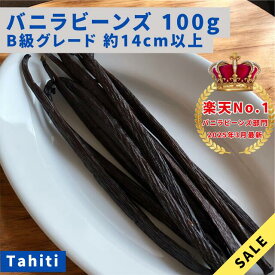 【バニラビーンズ専門店】バニラビーンズ B級品 100g タヒチ種 インドネシア産 Aグレード バニラ 業務用 クリスマス LIT VANILLA リットバニラ