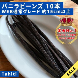 【バニラビーンズ専門店】バニラビーンズ 10本 Aグレード タヒチ種 インドネシア産 WEB通常グレード バニラ 業務用 クリスマス LIT VANILLA リットバニラ