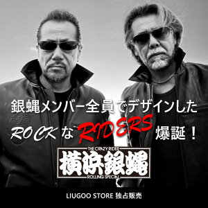 横浜銀蝿」の人気商品一覧 | 安い商品を通販サイトから探す - 価格.com