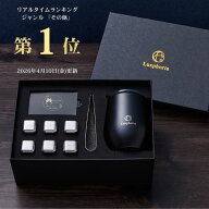 【公式/ ビアキューブ ギフト 】夏ギフト アイスキューブ ステンレス氷 溶けない氷 + ダブルウォールタン…