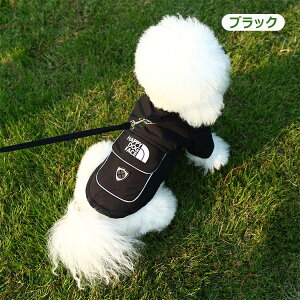 hbOEFA   ^ ^  g {A ~ |Pbgt AE^[ ~ j̎q ̎q ybg ^ h g  ybg Ȃ