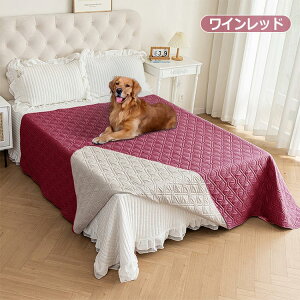 hV[c xbhXvbh xbhJo[ ybg ` hV[c Lg Ƌی }`Jo[ n h ʋC z ~ 􂦂 \t@[Jo[ hoJo[ h~  Lp 