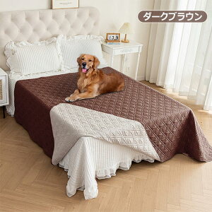 hV[c xbhXvbh xbhJo[ ybg ` hV[c Lg Ƌی }`Jo[ n h ʋC z ~ 􂦂 \t@[Jo[ hoJo[ h~  Lp 