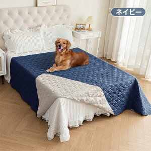 hV[c xbhXvbh xbhJo[ ybg ` hV[c Lg Ƌی }`Jo[ n h ʋC z ~ 􂦂 \t@[Jo[ hoJo[ h~  Lp 