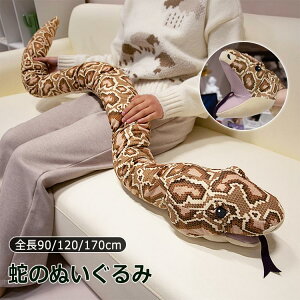 ւ ʂ x  pC\  pybg O  2025x nhpybg  x 킢  ӂӂ _炩  N  D u CeA  