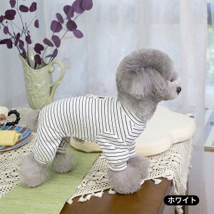  hbOEFA t  Ȃ {[_[ p[X DJt t ĕ  킢  pȂ I[o[I[ [EGA pW} іh~ CX^f ^ 