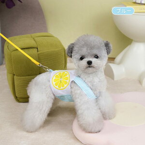  n[lX [ht xXg   t[c  ^ w|Pbg ؍  2_Zbg  킢  hbOEFA EFAn[lX ybgEFA ̎q 