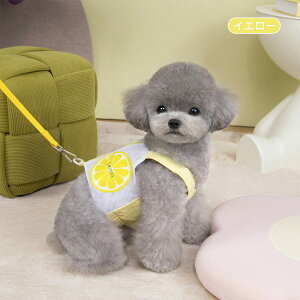  n[lX [ht xXg   t[c  ^ w|Pbg ؍  2_Zbg  킢  hbOEFA EFAn[lX ybgEFA ̎q 