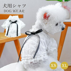 hbOEFA  Vc   Vc {t [X   ĕ t h? J t  H ^ j̎q ̎q  CX^f ybg ؍  _炩 l