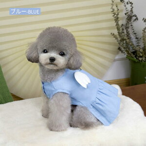 hbOEFA fjs s[X  OJ ̎q t fj   t ĕ  DJt J ̕ XJ[g ybg 킢  m ^ q ʋC 