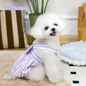  s[X t EFAn[lX DJt {t Ȃ ėp Ȑ m[X[u 킢 ^     lC  ̎q j̎q IV  ʋC y