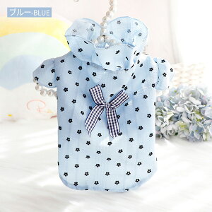  TVc ĕ t J {t ̎q j̎q  ԕ t Ȃ Vc _炩 ʋC hbOEFA   OJ  t  H ^  ybgEFA 