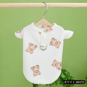  ^Ngbv t DJt t ĕ bt EFAn[lX N} j̎q ̎q   ʋC  ybg t hbOEFA 킢 IV ^ L 