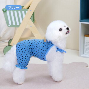  Ȃ L~Ȃ hbOEFA Tybg    xXg t ĕ ^ t    ₷   _炩   _炩 ʋC ̎q j̎q 