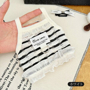  L~\[  DJt [X ^ hbOEFA  _炩 m y  Lk Ȃ m[X[u yAbN L  ̎q j̎q ^ lC 