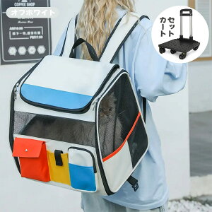 ybg L[obO LX^[t ܂肽 ybgJ[g J[g ԕt L  bN J[g ybgL[ L[J[g  L ybgL[  bN  