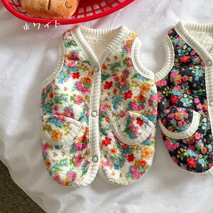  xXg g wJ H~ N hbOEFA ^ Ȃ  {A ԕ d˒  ₷ _炩   _炩 ̎q j̎q   ̕ L ybgp 