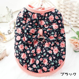  H~ N ^ ^ g xXg OJ Ȃ DJt 킢 {A H hbOEFA   ₷ _炩    ̎q j̎q  ̕ L 