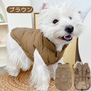  _ExXg ~ ȓ xXg WPbg 킢 [ht  h AE^[ R[g ^ ^ OJ ͂ ۉ h   hbOEFA Ȃ ₷ h 