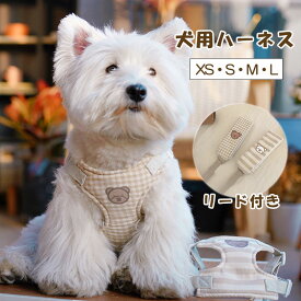 犬 猫 ハーネス リード セット 2点セット 小型犬 中型犬 猫用 かわいい クマ くま ネコ 柔らかい 迷子防止 脱走防止 軽量 胸当て メッシュ おしゃれ 胴輪 調整可能 ペット用品 犬用ハーネス 猫用ハーネス 柔らかい リード付 安全 通気 お散歩 お出かけ