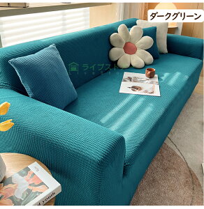 y1_8A2_12%OFFCPz\t@Jo[ 3l| It \t@[Jo[ bt h 2l| Lk ybg Xgb` ̌^ L IȂ tBbg \t@[Jo[  Yh~ L