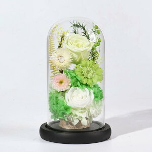 ���� �v���U�[�u�h�t�����[ �������� ������� ���� led�t ������� �h�[�� �͂�Ȃ��� �������� ���[�Y �K���X�h�[�� �A�����W�����g ���~ ���~ �@�� 1���� ���� ���ފ� �����d�p ���~ �O���