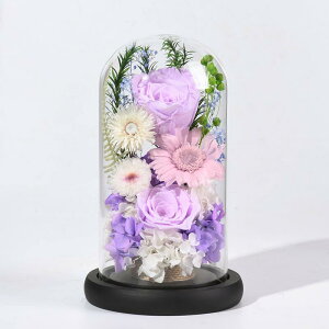  vU[uht[    ledt  h[ ͂Ȃ  [Y KXh[ AWg ~ ~ @ 1  ފ dp ~ O