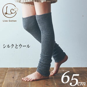 CuRbgEVNE[dDbOEH[}[ (65cm)@O Ԓ lC  Ɍ  EH[LO jO ItBX K ߓd ʋ ʊw ] oR O