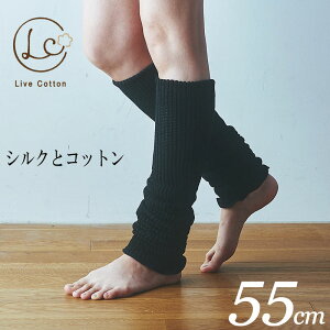 CuRbgEVNRbgdDbOEH[}[55cm ubN O lC  Ɍ  EH[LO jO ItBX K ߓd ] oR ʋ ʊw  f