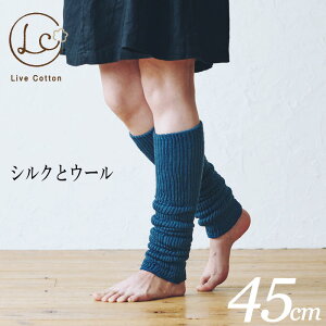 CuRbgEVNE[dDbOEH[}[(45cm) lC  Ɍ  EH[LO jO ItBX ߓd K ] oR ʋ ʊw  fB[X j Y 