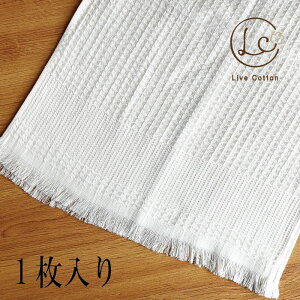 CuRbgEȃbtEH[LO^I y1z F Y  X|[c^I jO TCNO W tBbglX ejX AEghA  U tFCX