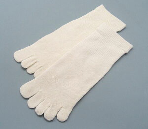 yqlp5{wzVNE5{w\bNX(ƂȂESSTCYj