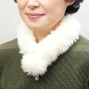 mv`}t[ mE[ p fB[X @ \ItBX ߓd gbLO ʋ ʊw ] oR O U O gїp }t[ lbNEH[}[ EH[