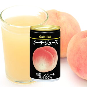 s[`W[X 160g×20 t[cW[X S[hpbNW[X Xg[g ʏ`100 Y   s[` ʕ t[c W[X  