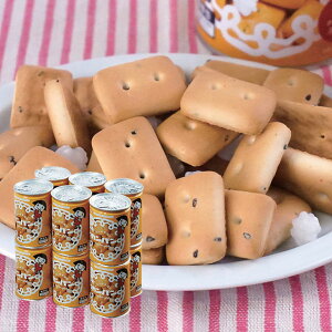 �J���p�� �� ����ς� ���p�� ���H�J���p��12�ʃZ�b�g �h�� ���H �ۑ��H ���~ 5�N�ۑ� ���������� �h�АH