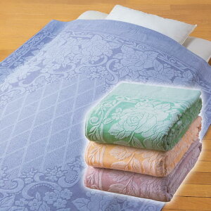  ^IPbg VO ^I |zc |zc |zc t[X^[ uPbg i WJ[h pC 100 ԕ Y {