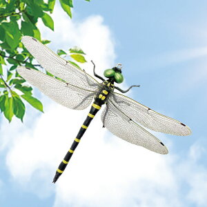 ̓VG S} 2g Ij} u[`  悯  nG Au XYo` u JV Q ΍ AEghA Lv ނ d