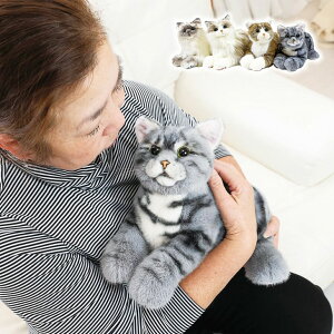 ȂłȂł˂EX ˂ lR L  ʂ  b  L^ {bg  v[g