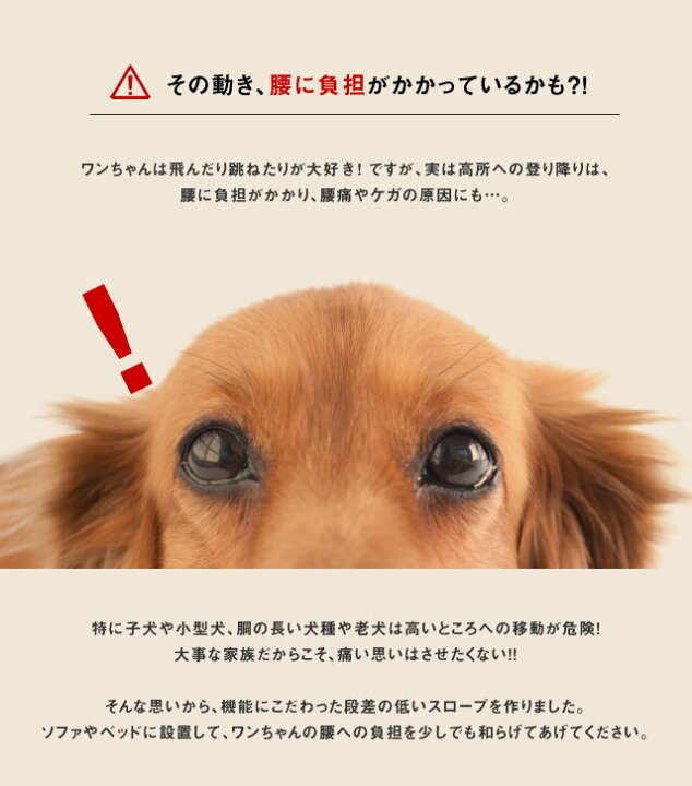 楽天市場 スロープ ドッグスロープ ドッグステップ ペットスロープ 犬 小型犬 階段 段差 ソファー ソファ ベッド 階段 段差解消 足 腰 負担軽減 ペットステップ 老犬 介護 ライブイット