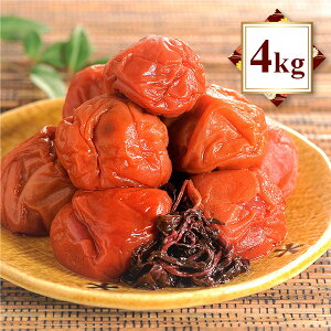 ~ ~ 1kg×4pbN IB썂~ 嗱 Ԃ~ Ђ Ԃ ߂ڂ a̎RY Y 3%