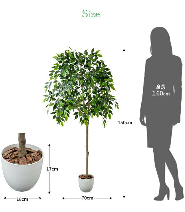 楽天市場】観葉植物 ベンジャミン 光触媒 インテリアグリーン フェイク 