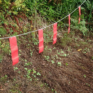 nNrVȂ 6V[g V[g Qb΍   ObY 񂹕tȂ O ȒPݒu ƒ؉ K[fjO 