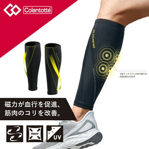 Rgbe J[tT|[g CT|[^[ bOT|[^[ ӂ͂ T|[^[ ؓ R X|[c jO iK UVJbg { Ë@ jp